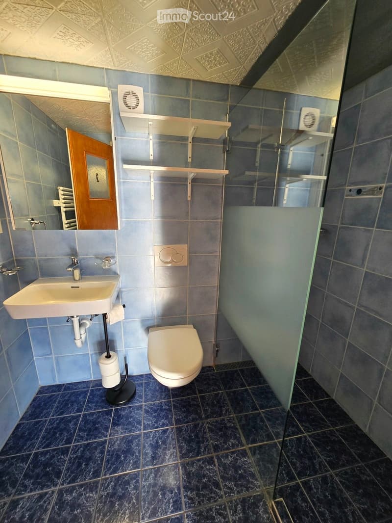 Bathroom with blue tiled walls, a white sink, a toilet, a toilet paper holder, and a wooden door leading to another room.