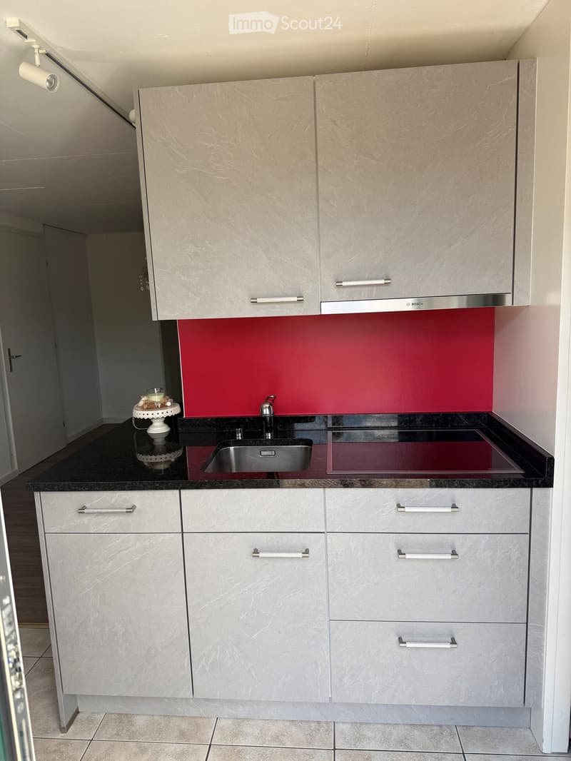 Modern kitchen with light grey cabinets, black countertops, and a red backsplash. Features a stainless steel sink and a small decorative cake with a candle on the counter.