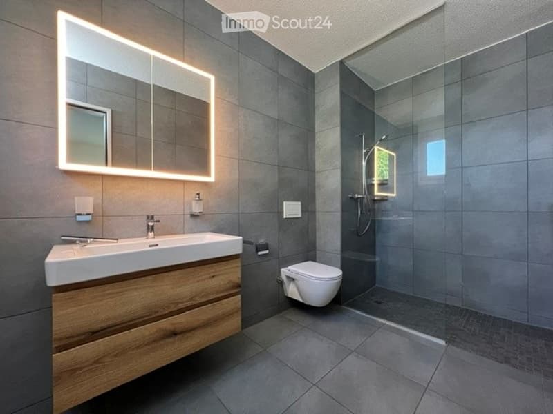 Modern bathroom with grey tiles, wooden vanity, illuminated mirror, and a glass-enclosed shower area.