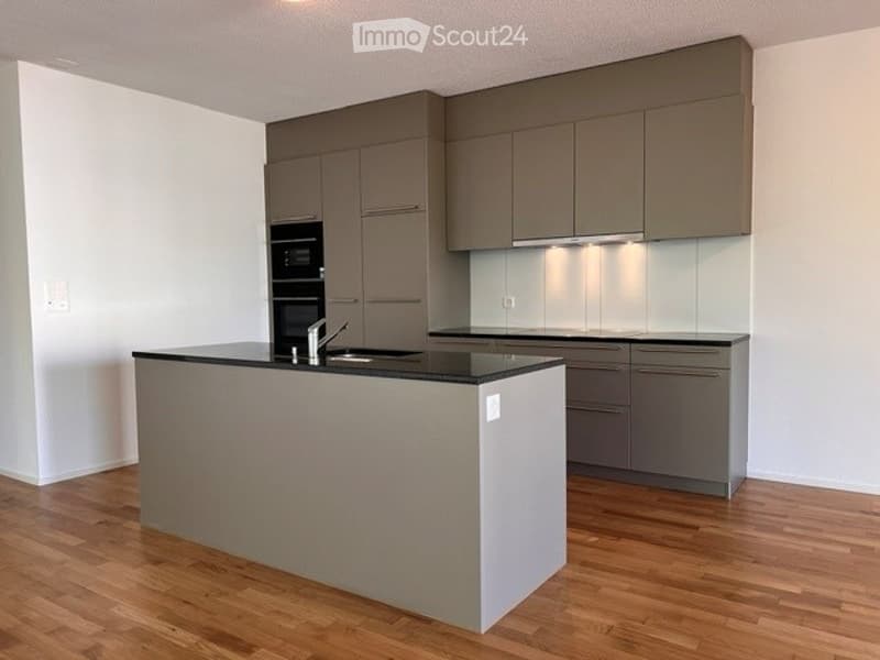 Modern kitchen with grey cabinets, black countertop, wooden flooring, and built-in oven.
