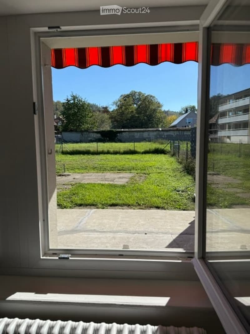 Window view of a grassy outdoor area with trees and a building in the background, featuring a red and white striped awning above the window.