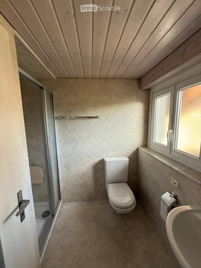 Modern bathroom with a toilet, sink, and a glass-enclosed shower. Light-colored walls and a neutral carpeted floor.