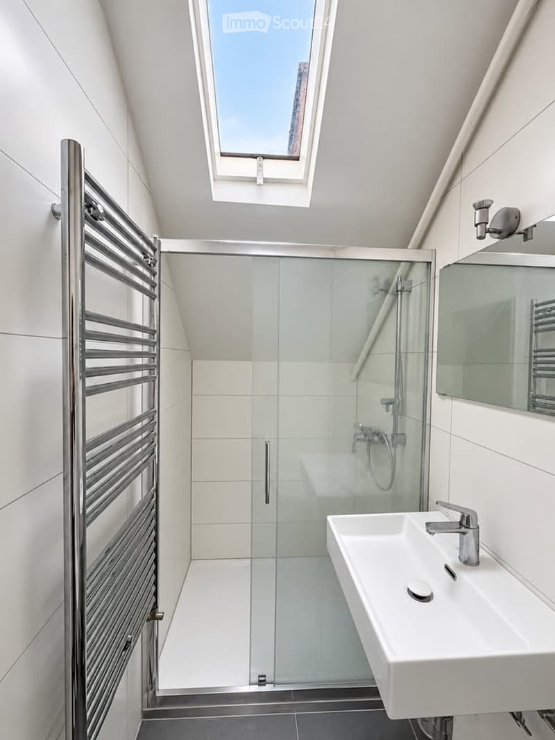 Modern bathroom with a white sink, mirror, radiator, and a glass-enclosed shower with a skylight above.