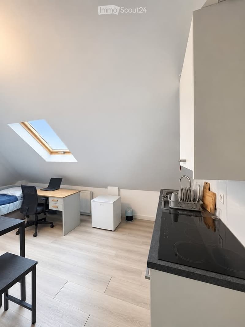 A compact, multi-functional room with a bed, desk, and kitchenette area. Features include a skylight window, wooden flooring, and modern appliances.