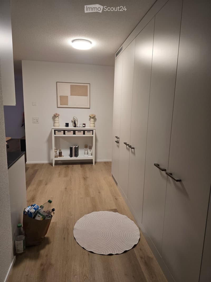 Modern hallway with light wooden flooring, white walls, built-in storage units, small shelf with decorative items, and a round rug on the floor.