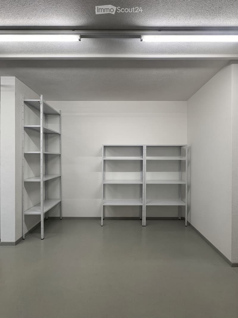 Empty room with white walls, grey floor, and two white metal shelving units.