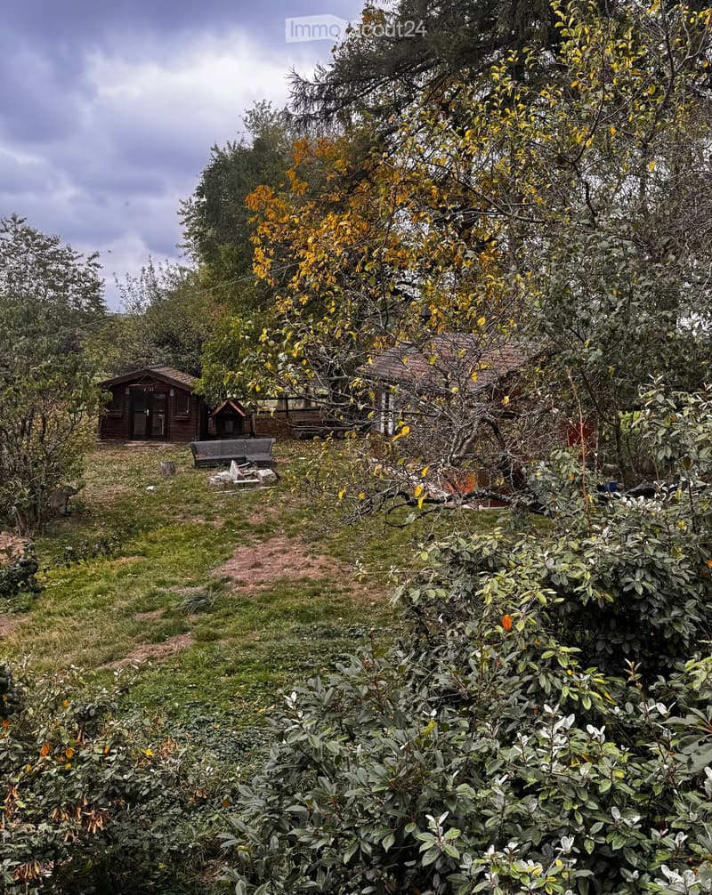 A serene garden area with a wooden shed, benches, and lush greenery, including trees with yellow leaves and a variety of shrubs and plants.