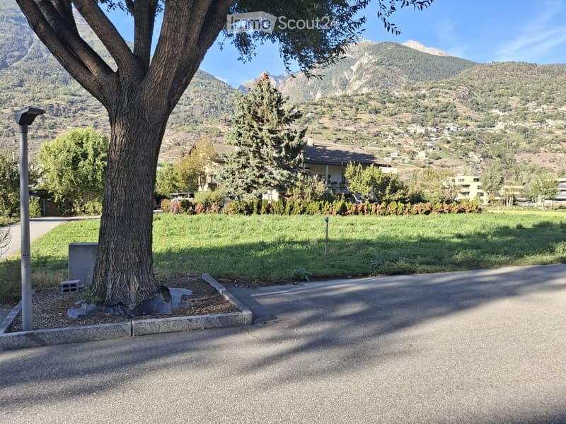 A peaceful outdoor area with a large tree, grassy lawn, and scenic mountain view in the background.