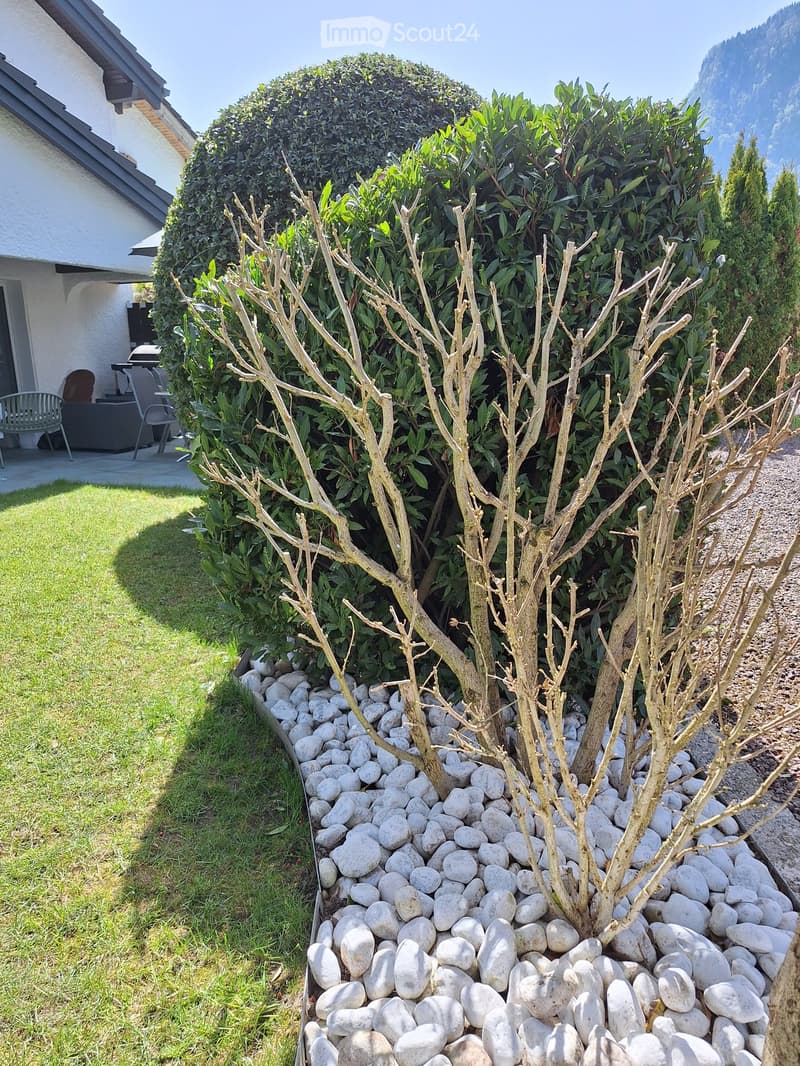 Garden area with a well-maintained lawn, a variety of shrubs and trees, and a decorative rock border. A patio with outdoor furniture is visible in the background.