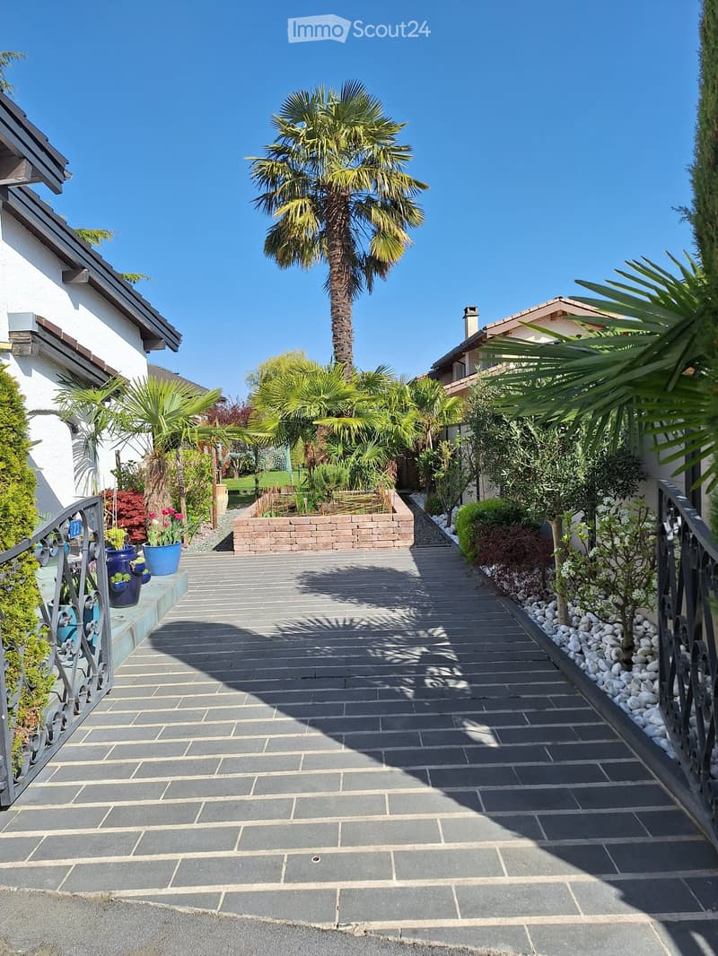 A well-maintained garden pathway lined with palm trees, shrubs, and potted plants, leading to a house entrance.