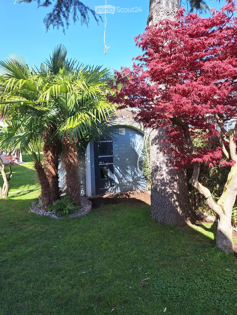 A well-maintained garden with a small shed, surrounded by lush greenery including a palm tree and a red-leaved tree. The grass is neatly trimmed, and the shed has a grey exterior with a black door.