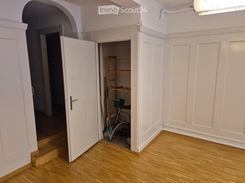 Empty room with wooden flooring and white walls, featuring an open closet with shelves and cleaning supplies inside.