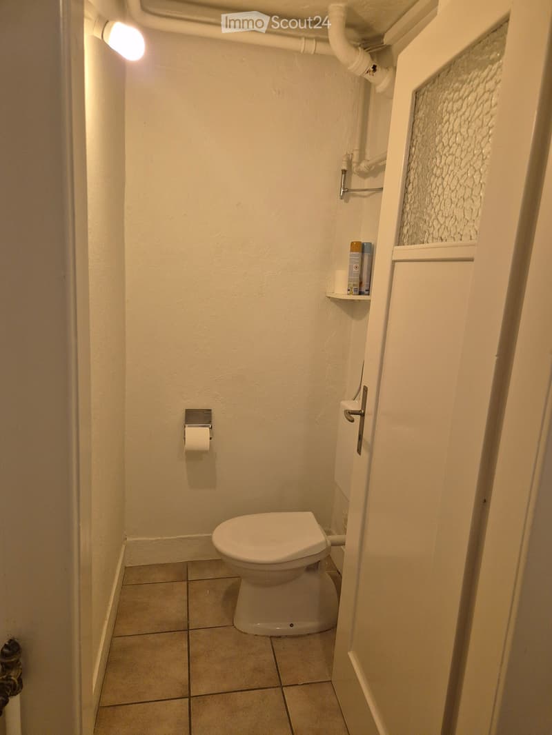 Small bathroom with a toilet, toilet paper holder, a small shelf holding cleaning supplies, and a textured shower wall.
