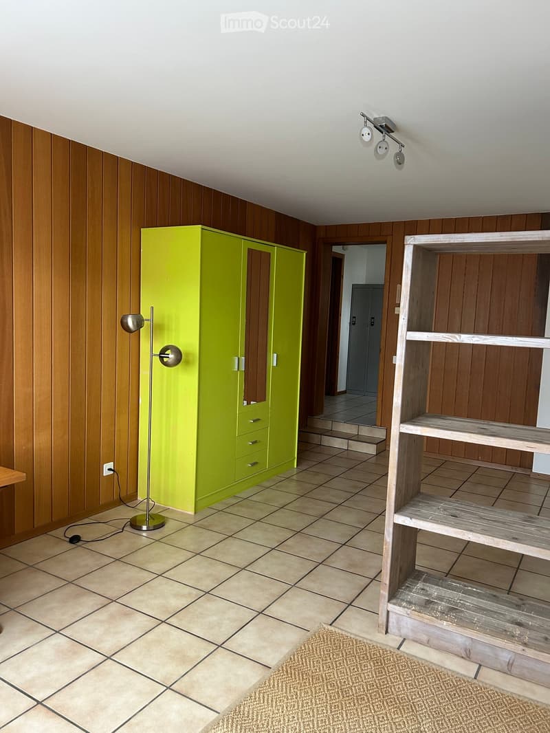 Empty room with wooden walls, tiled floor, green wardrobe, wooden shelf, floor lamp, power outlet, and a rug.