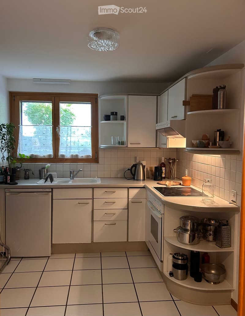 {"type": "Kitchen", "objects": ["sink", "faucet", "oven", "dishwasher", "microwave", "cupboard", "kitchen island", "induction stove", "cup", "bottle", "fridge", "cupboard", "faucet", "oven", "dishwasher", "microwave", "cupboard", "kitchen island", "induct