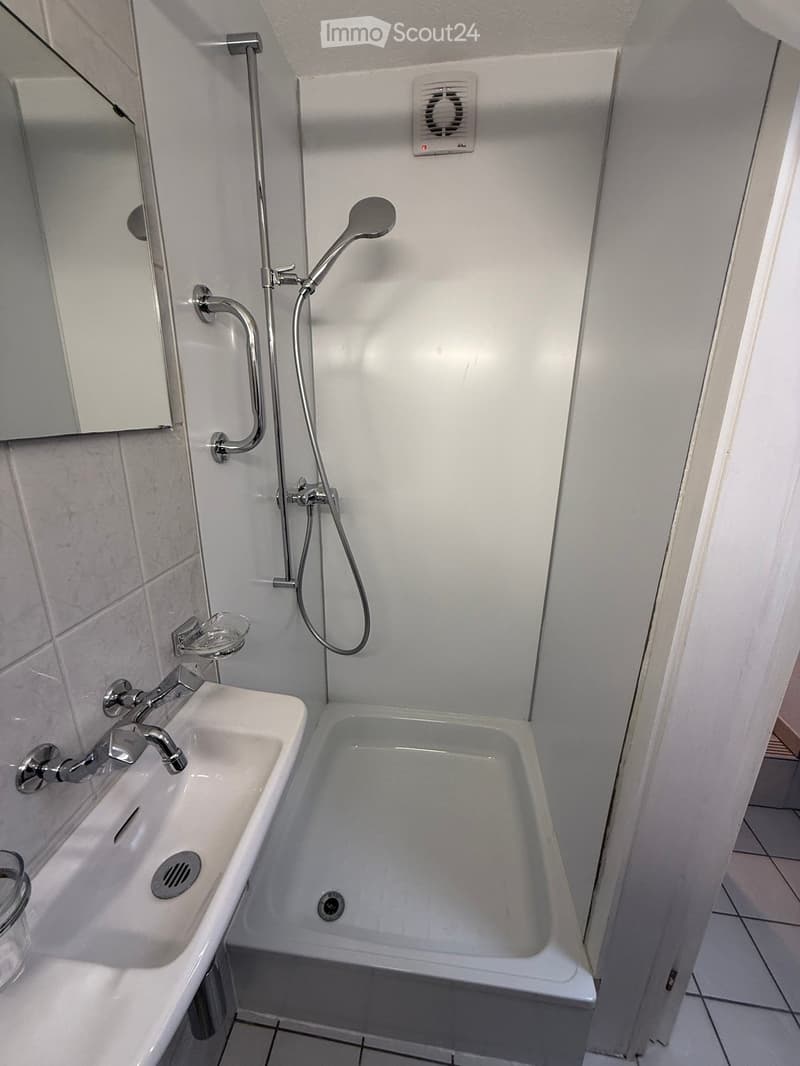 Bathroom with shower, sink, and mirror