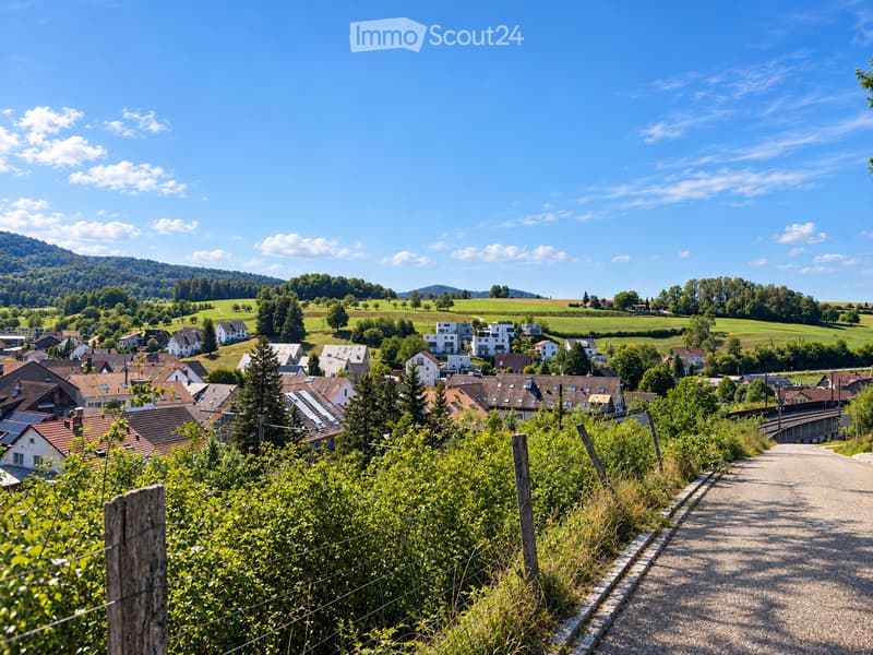 A panoramic view of a small village nestled in a lush green valley, featuring houses with varied roof styles, surrounded by fields and trees under a clear blue sky.