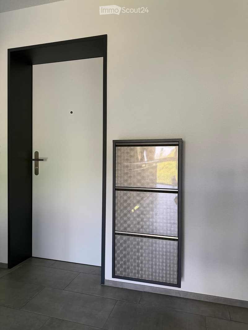 Modern hallway with a white door and a frosted glass panel featuring a textured pattern. The floor is tiled in dark gray, and the walls are painted in a light beige color.