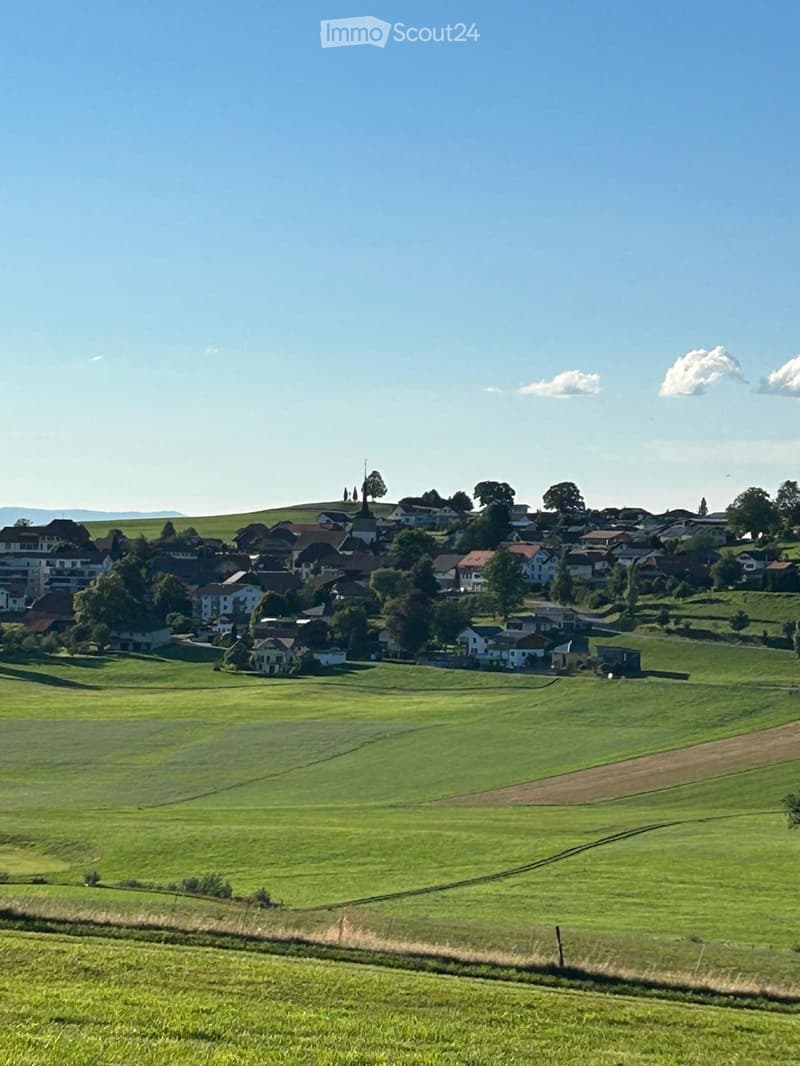 A panoramic view of a rural village with scattered houses, green fields, and a church tower in the background under a clear blue sky.
