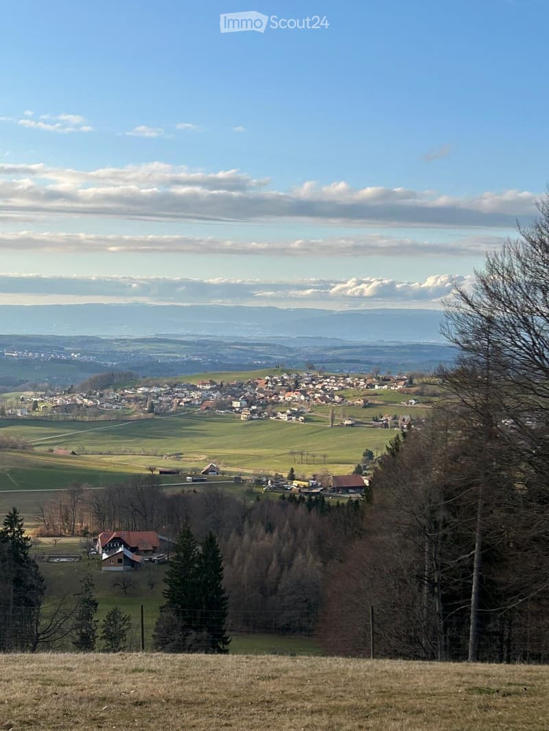 A panoramic view of a rural village nestled in a valley, surrounded by green fields, scattered houses, and distant mountains under a partly cloudy sky.