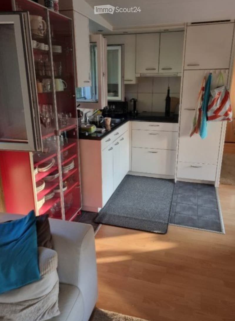 {"type": "Furnished Room", "objects": ["sofa", "cupboard", "kitchen cabinet", "sink", "faucet", "cup", "dish rack", "cupboard", "cupboard", "cupboard", "cupboard", "cupboard", "cupboard", "cupboard", "cupboard", "cupboard", "cupboard", "cupboard", "cupboa