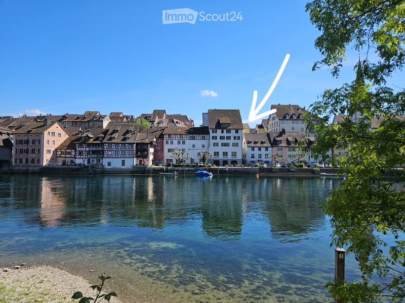 A picturesque town with traditional houses along a calm river, featuring a mix of architectural styles and a clear blue sky.