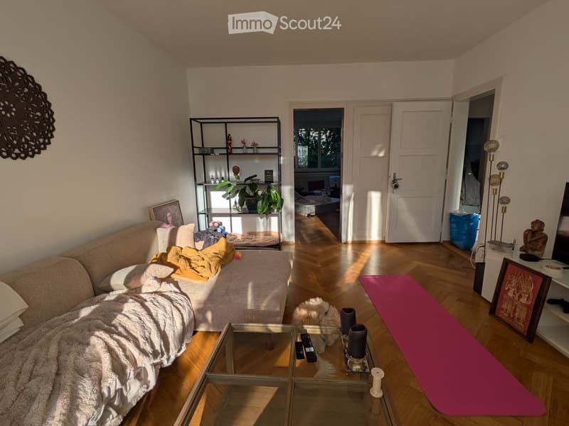 Cozy living room with a beige sofa, glass coffee table, shelf with plants and decor, yoga mat, and a small dog.