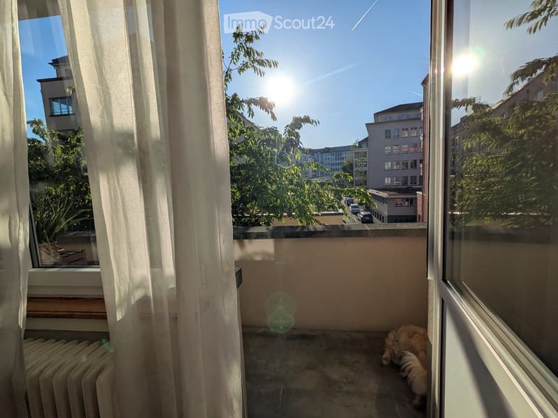 Balcony with a view of the city and trees, featuring a small dog and a radiator near the window.