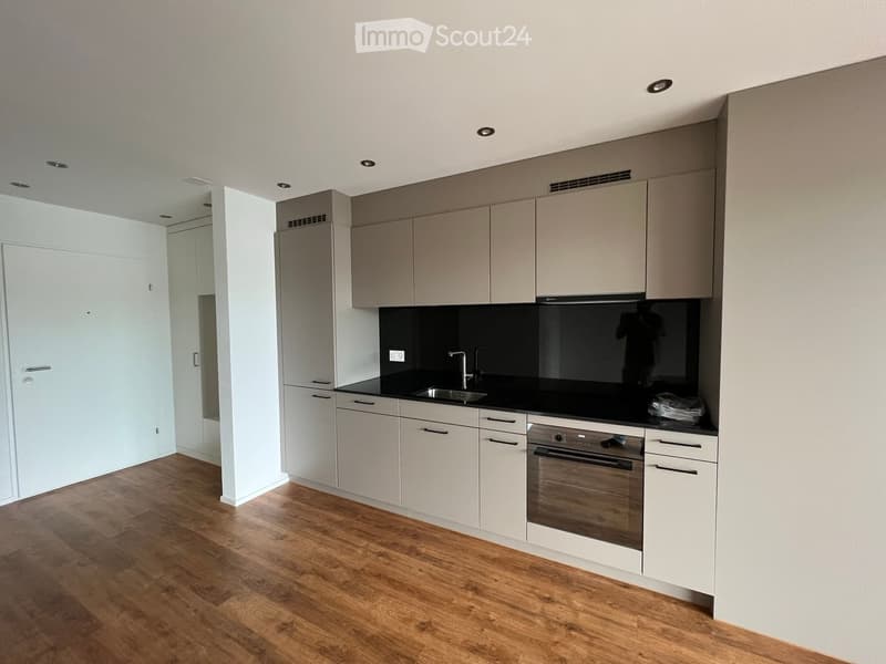 Modern kitchen with white cabinets, black countertop, stainless steel sink and oven, wooden flooring.