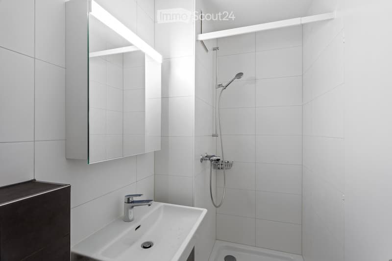 Modern bathroom with white tiled walls, a white sink with a chrome faucet, a mirrored cabinet, and a shower area with a handheld showerhead and hose.