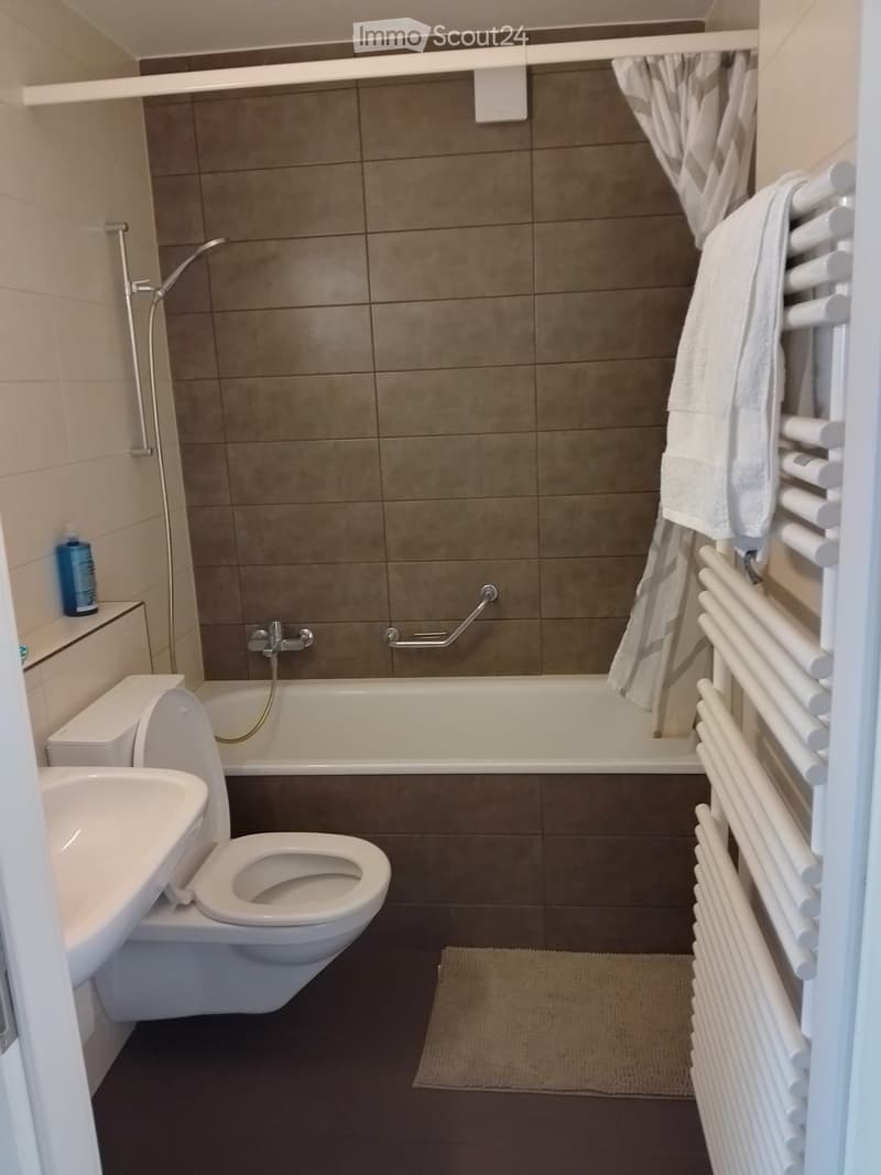 Modern bathroom with a toilet, bathtub, sink, radiator, and towel. Features a shower head and handrail in the bathtub area.