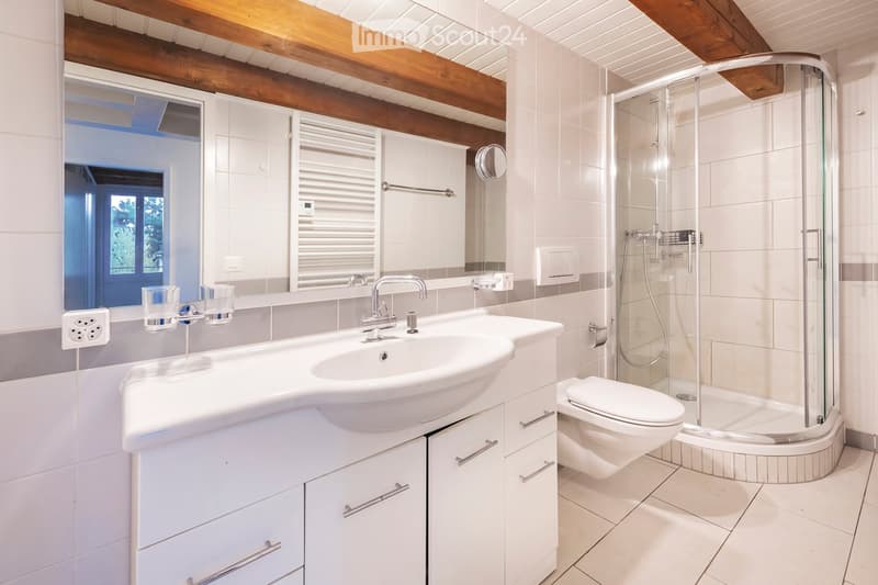 Modern bathroom with a white double sink, mirror, toilet, and glass-enclosed shower. Exposed wooden beams on the ceiling and white tiled walls.