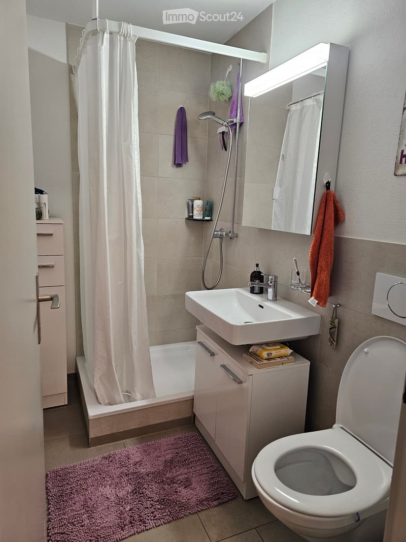 Modern bathroom with a bathtub, sink, toilet, mirror, and a built-in cabinet. Features a shower curtain, towels, and a pink bath rug.