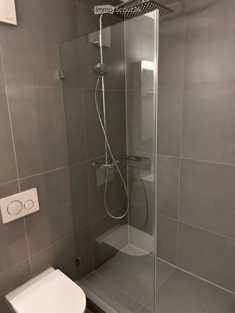 Modern bathroom with a glass-enclosed shower stall, a toilet, and a sleek showerhead.