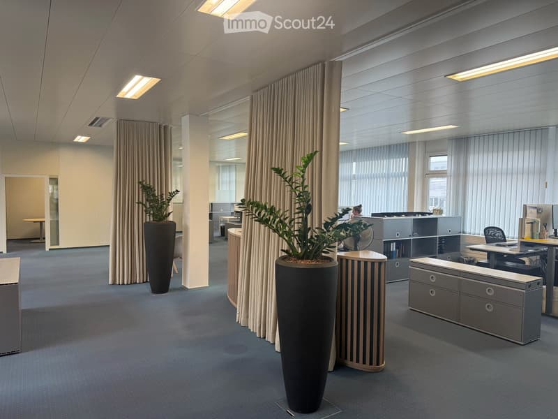 Büro in Neuendorf (Showroom / Atelier / Lager) (1)
