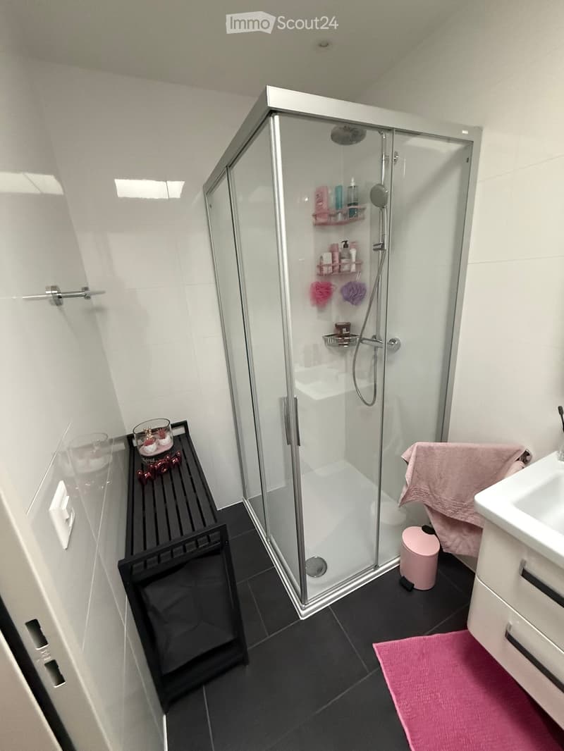 Modern bathroom with a glass-enclosed shower, a sink with a pink towel, a small black shelf with decorative items, and a pink bath mat on the floor.
