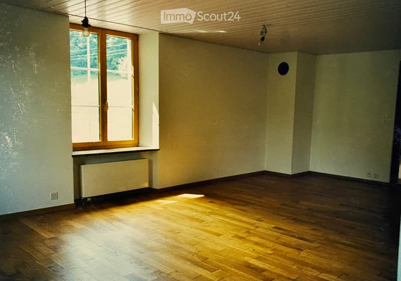 Empty room with wooden flooring, light green walls, and a large window with wooden frame allowing natural light to enter. There is a radiator below the window and a light fixture on the ceiling.