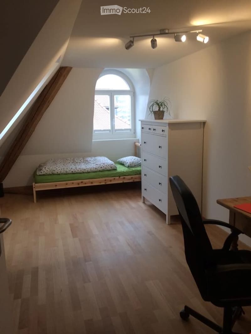 Dachwohnung mit Charme (7)
