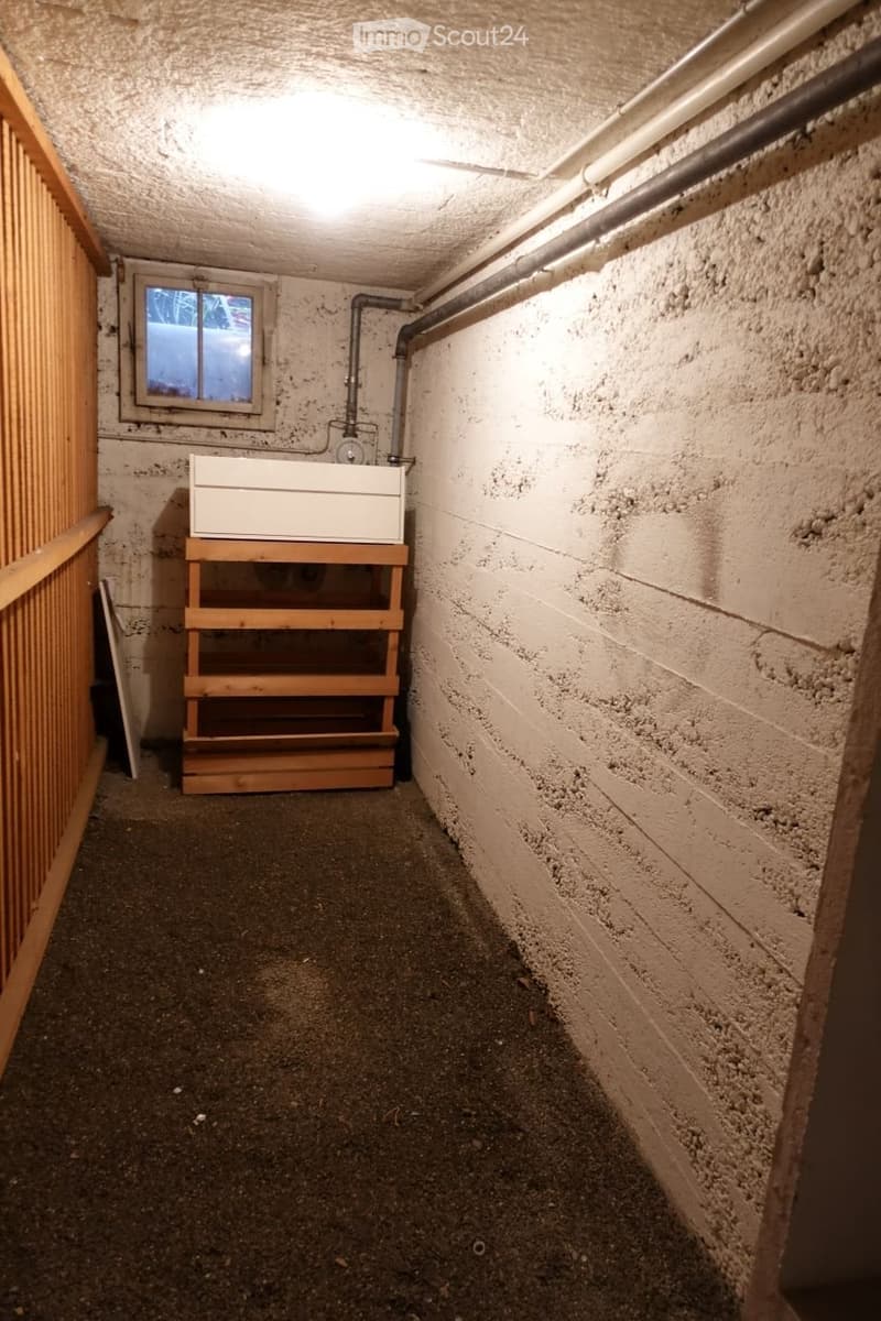 A narrow, dimly lit basement corridor with concrete walls, a small window, and a simple wooden shelf holding a sink.