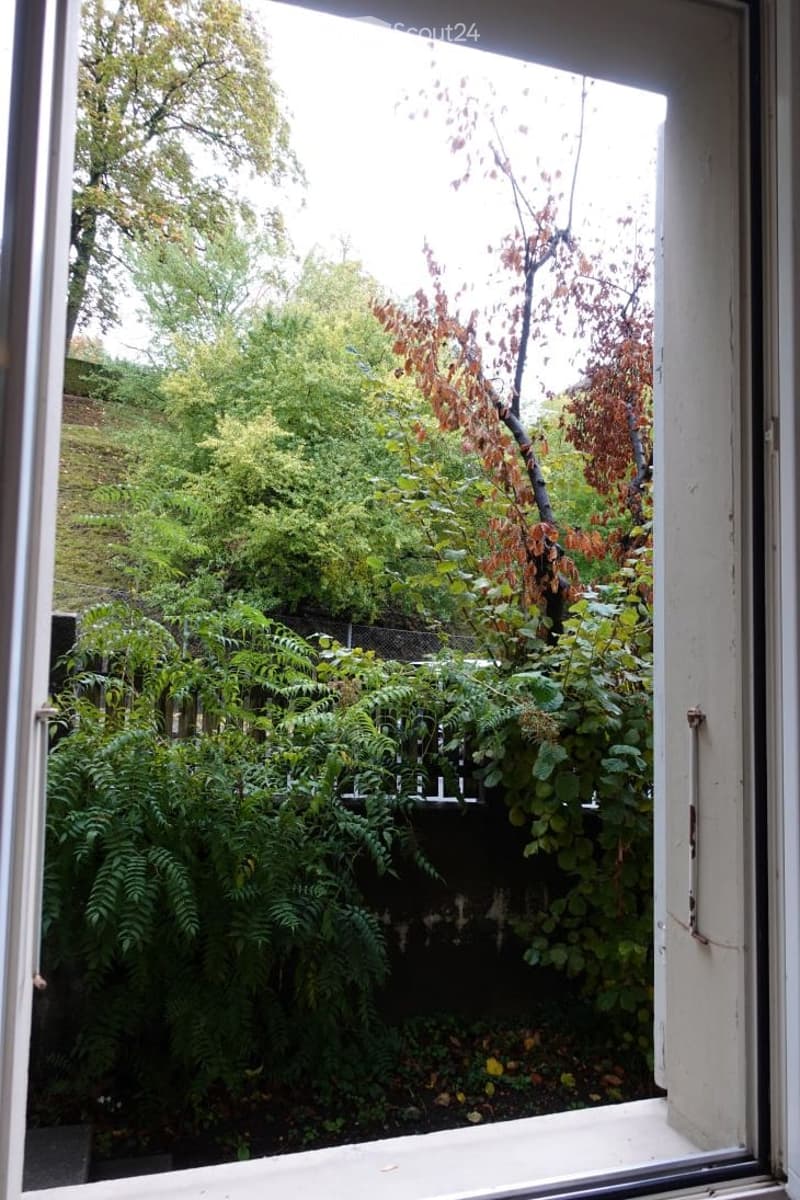 View from a window showing a lush garden with ferns, shrubs, and trees, including some autumn-colored foliage.