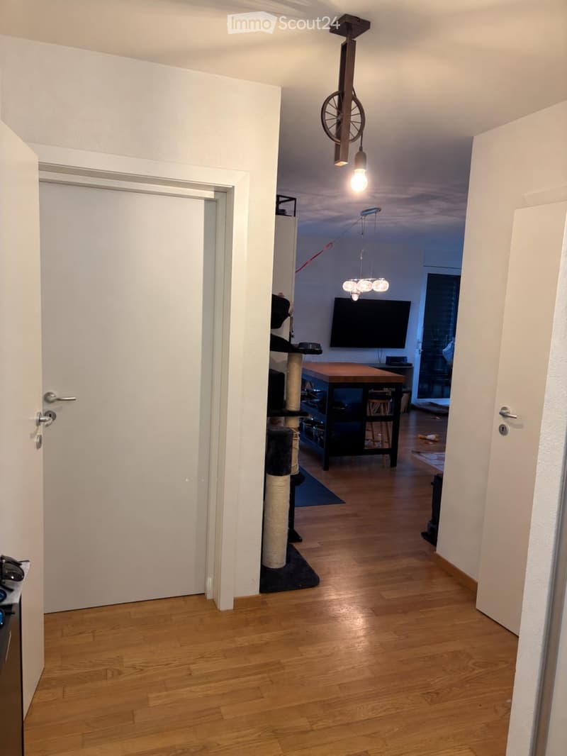 A well-lit hallway with wooden flooring, white walls, and a cat tree in the corner. The hallway leads to a room with a television and a dining table.