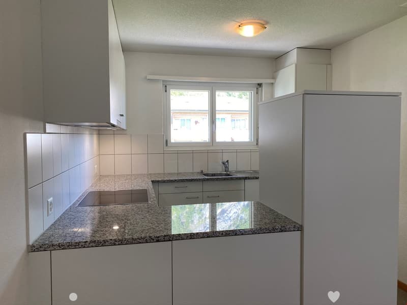 Modern kitchen with granite countertops, white cabinets, stainless steel sink, and a built-in refrigerator.