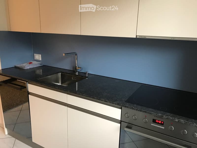 Modern kitchen with dark granite countertops, white cabinets, stainless steel sink, induction cooktop, and built-in oven.