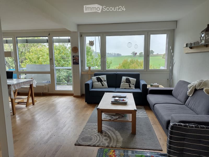 Bright living room with wooden flooring, large windows overlooking a green field, two sofas, a coffee table, a dining table with chairs, and decorative items on shelves.