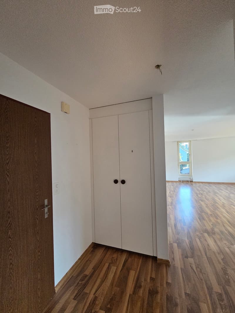 Empty hallway with wooden flooring, white walls, and a closed white cabinet. A wooden door is visible on the left, and a window with a view is seen at the end of the hallway.