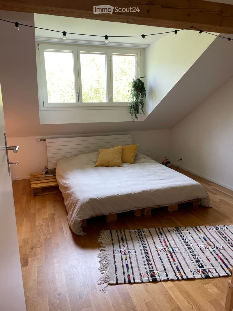 Dachwohnung mit Balkon im Breitenrain in Bern (11)
