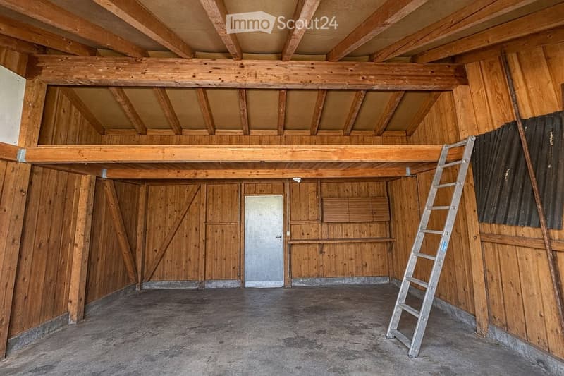 An empty attic space with exposed wooden beams and a concrete floor, featuring a single door and a ladder leading to an upper level.