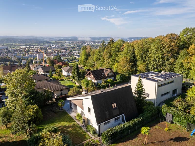 Aerial view of a residential area with multiple houses, surrounded by trees and greenery, with a distant cityscape visible in the background.
