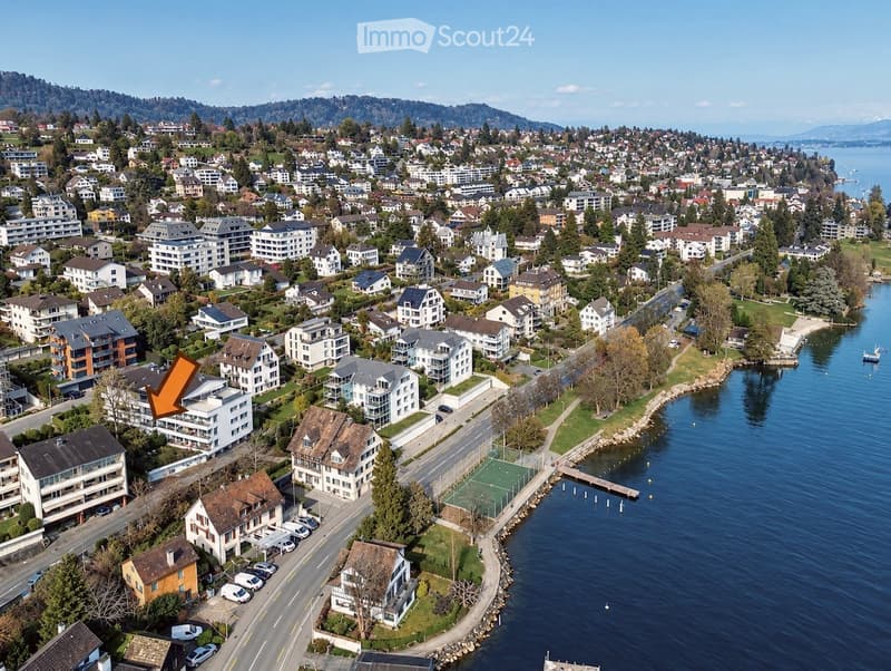 Aerial view of a residential area near a lake, featuring multiple houses, apartments, and a waterfront with a dock and tennis court.