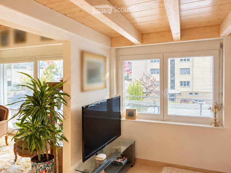 Bright living room with large windows, a flat-screen TV on a glass stand, a potted plant, and a comfortable sofa.